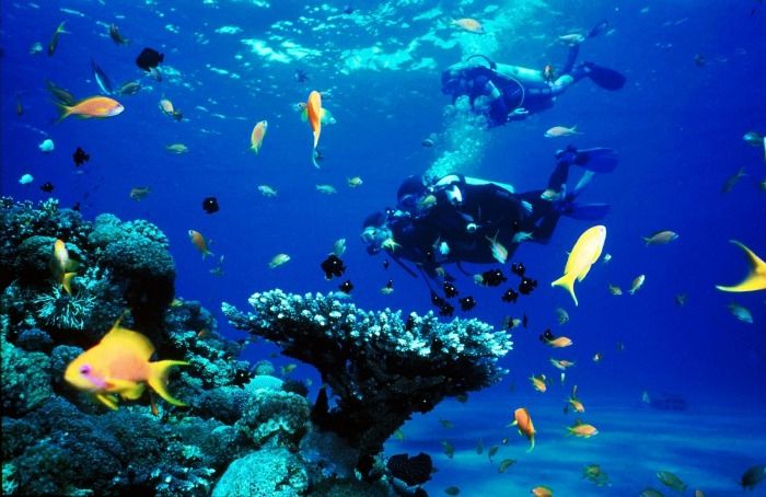 Scuba diving sites in Koh Samui