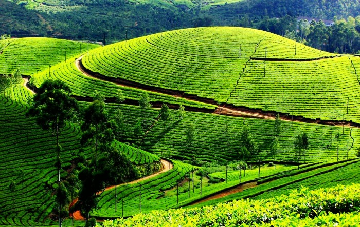 Vast landscapes and fascinating beauty of the Nilgiri Hills Ooty