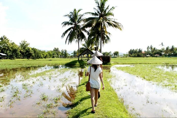 Laman Padi, An ecotourism complex for a closer look at rice paddies