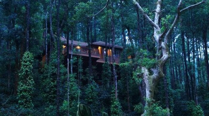 Tamara Resort - A trip to Coorg with your beloved