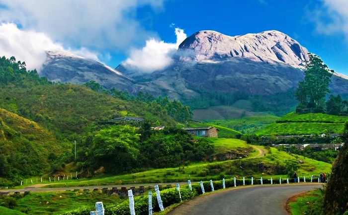 Tea Gardens Munnar, captivating scenery redefine your love for you