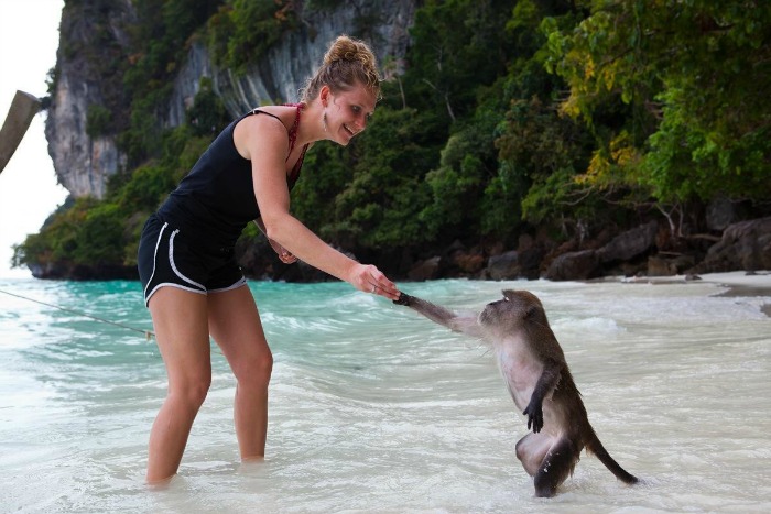 Shake hand with monkies at Monkey Beach in Thailand