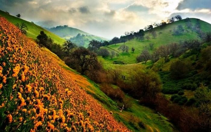 Nanda Devi National Park for a best wildlife experience, Uttarakhand