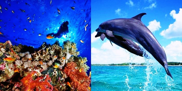 Underwater activities in Goa and Gokarna
