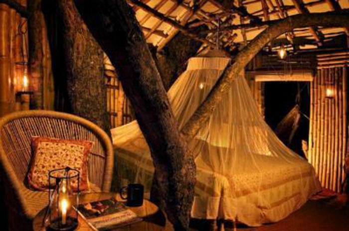 Atreehouse in Wild Canopy Nature Reserve in Mudumalai