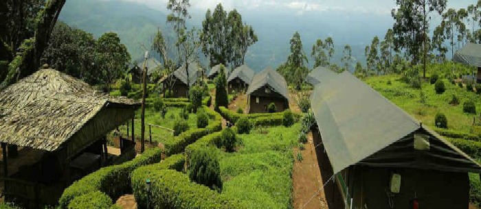 TreeHouse Munnar in the Jungle Resorts in Kerala