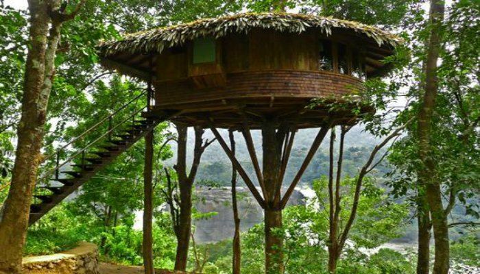 TheRainforest Resort offering bird’s eye view of the Athirapally falls
