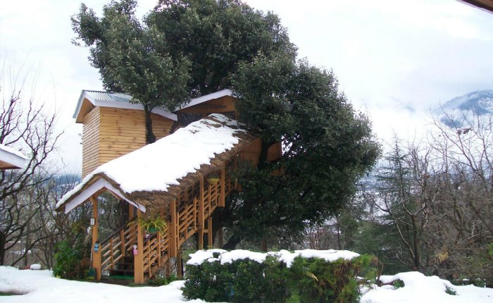 Treehousecottages in Manali