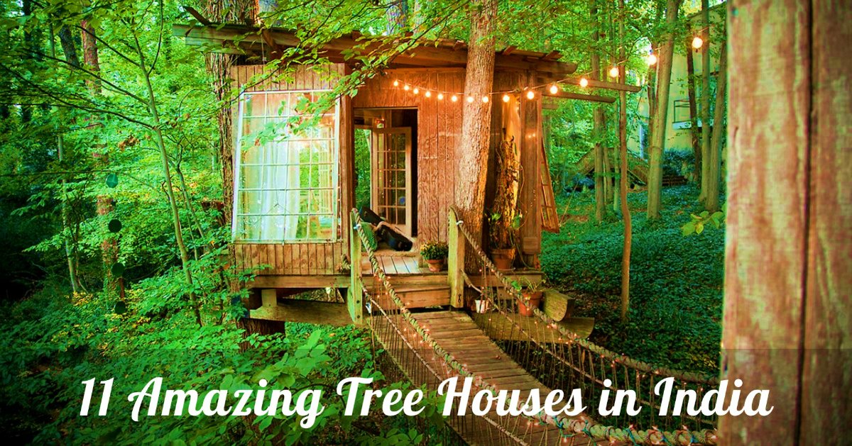 Amazing Tree Houses India  Treat for your younger self 