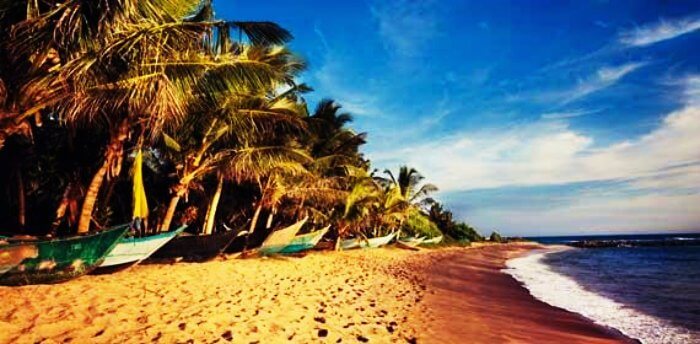 Mirissais the best beach in Sri Lanka known for its pristine shores