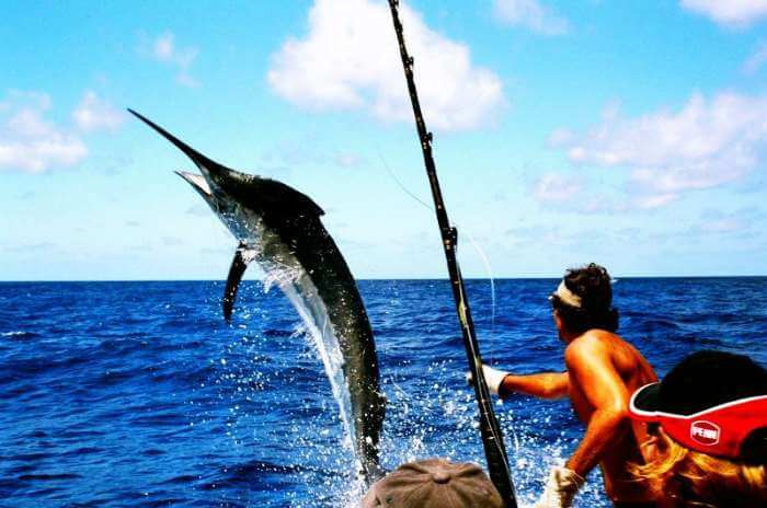 Game fishing in Andaman