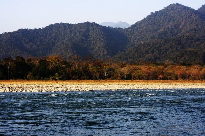 The manas river of Manas National park