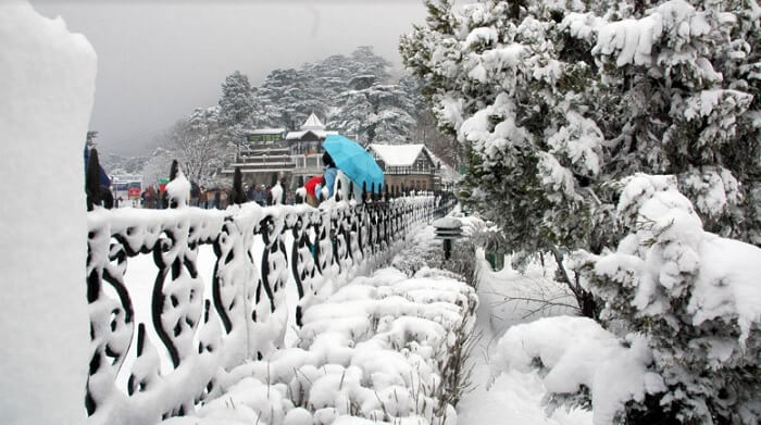 Tourists from planes flock to see snowfall in Kufri