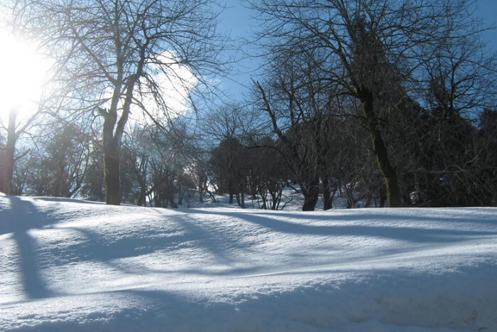 The lovely hill station of Munsiyari
