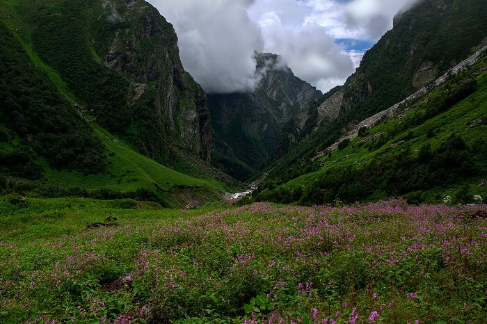 A shot of a cloudy day at the Valley of Flowers