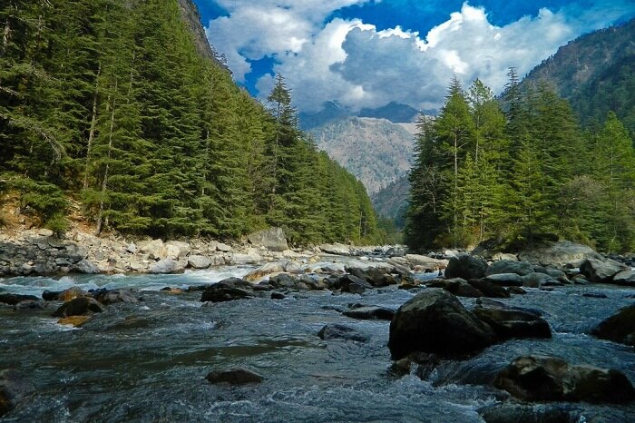 A snap of the Parvati River and the surrounding trees in Kasol