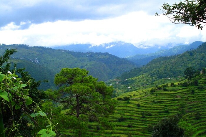 The pristine valley of Ranikhet washed in the rains