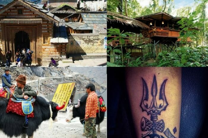 Various activities honeymoon couples can try in Manali