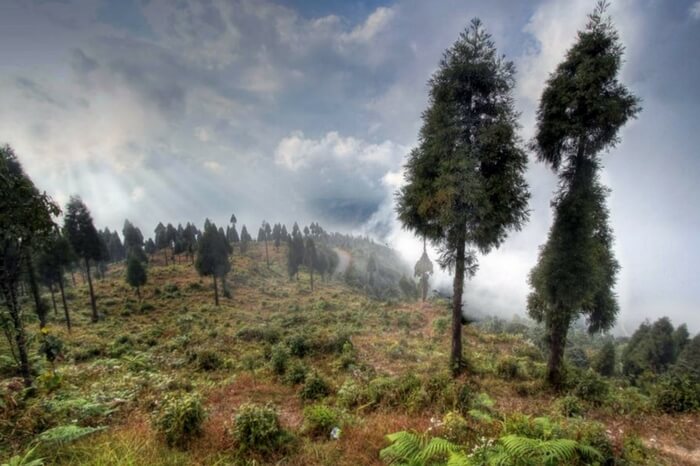 Kurseong