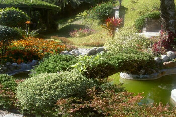 Rishi Bankim Chandra Park in Kalimpong
