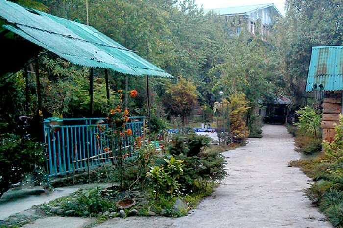 Shanti Kunj Nursery in Kalimpong
