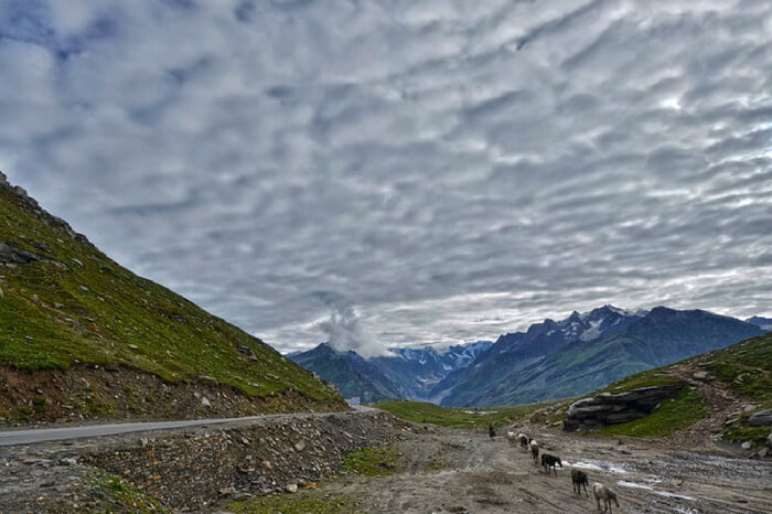 Mesmerising road from Manali to Rohtang Pass