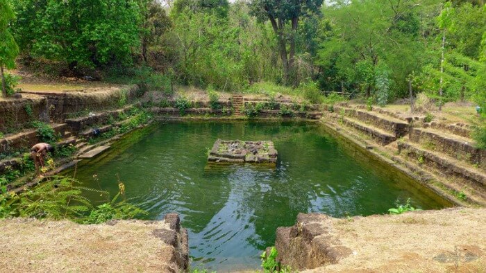 indulge in a free fish spa at Netravali bubbling lake