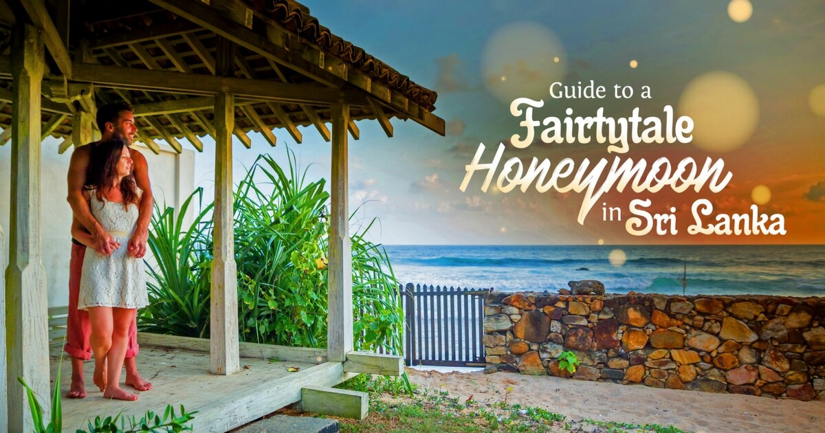 Sri Lanka Honeymoon Guide 2021 5 Best Places To Visit & 9