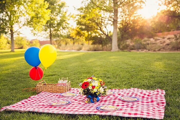 12 Picnic Spots near Delhi Perfect for a Quick Summer Break