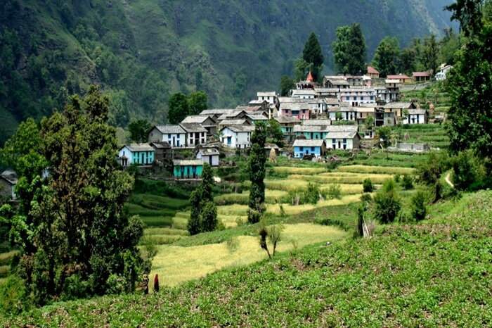 Houses on a hill slope in Ranikhet
