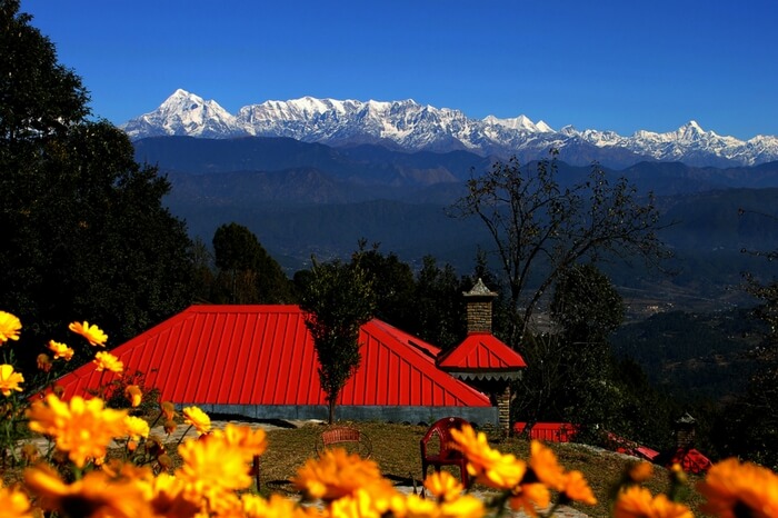 Lush green valley overlooking Himalayas in Kausani