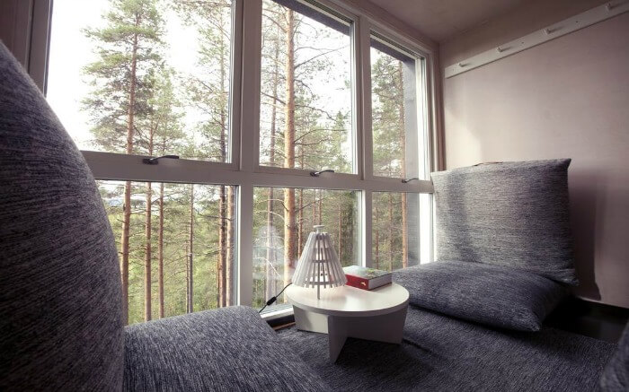 View from Tree Hotel