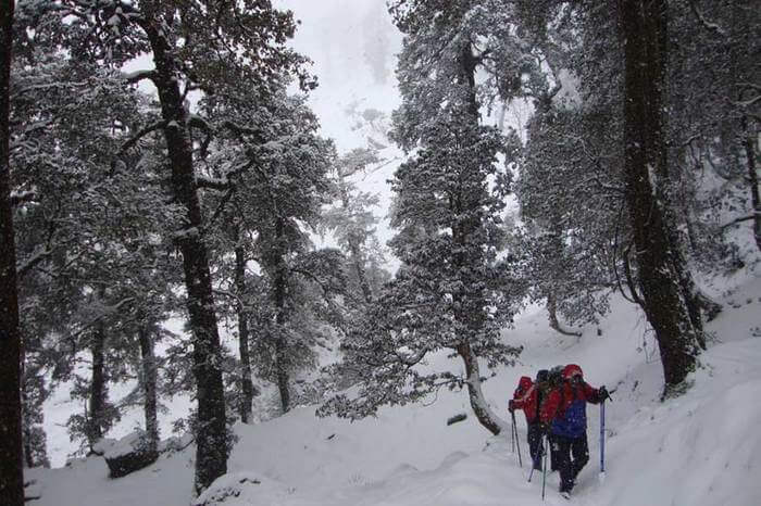 two men trekking on snow covered trails through a jungle