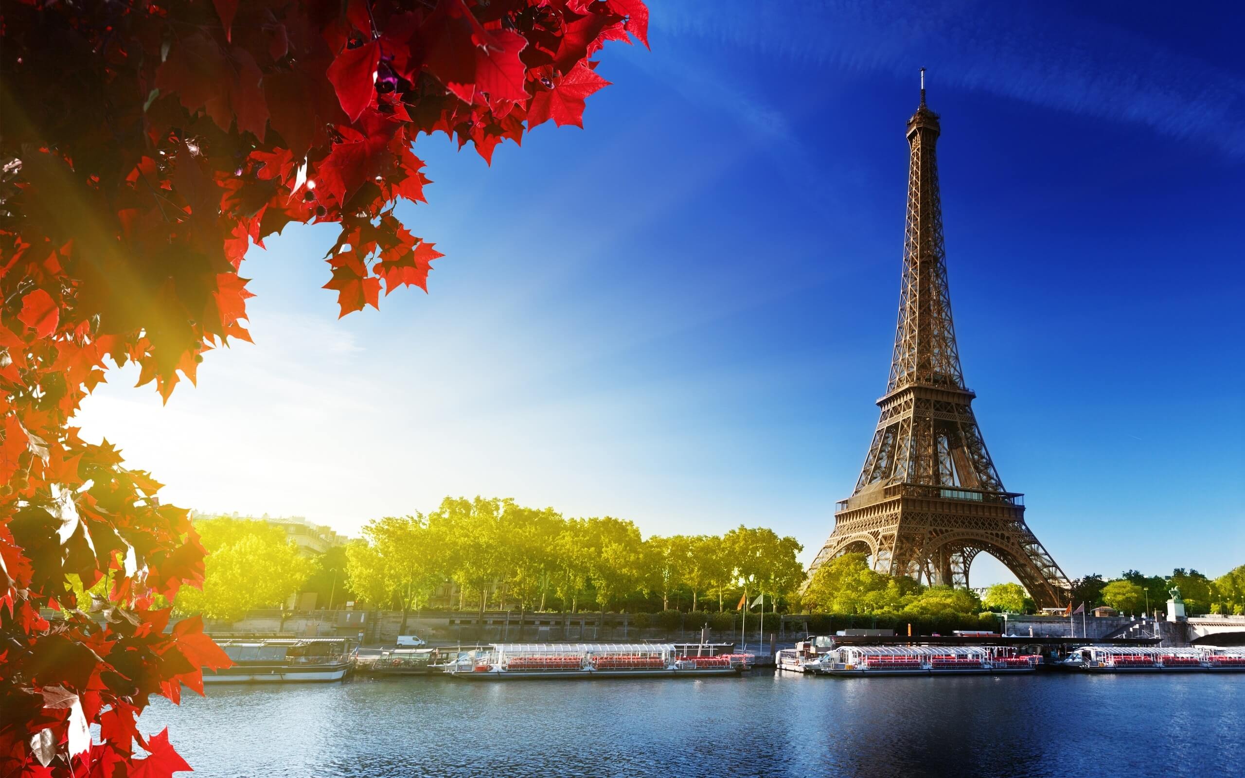 8 Romantic Places In Paris For Couples On A Honeymoon