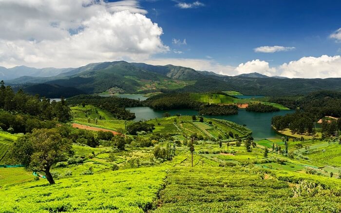 10 Places To Visit In Ooty That're Fun & Incredibly Spectacular