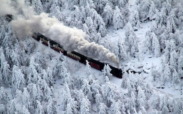 Snowcovered surroundings in the route of Trans-Harz Railway in Germany