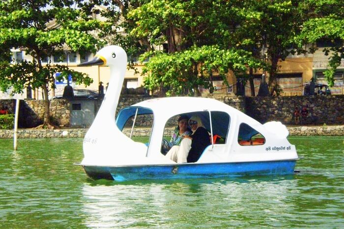 Swanboatride in Colombo
