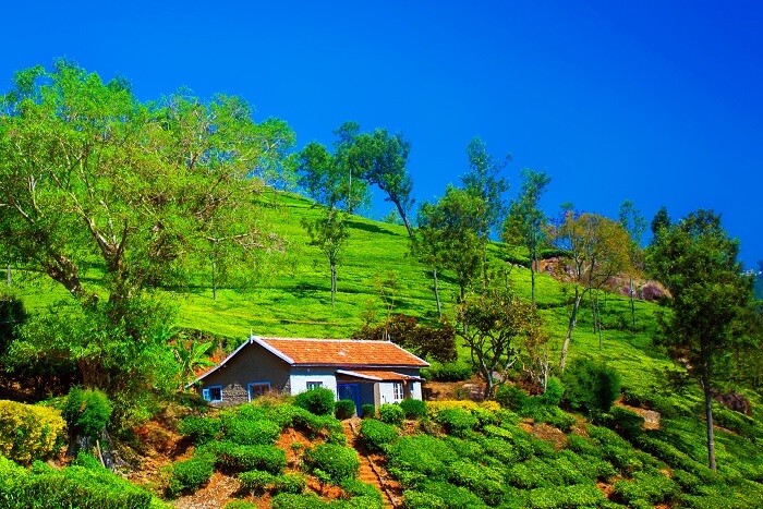 Droog Stay Coonoor | Droog Stay