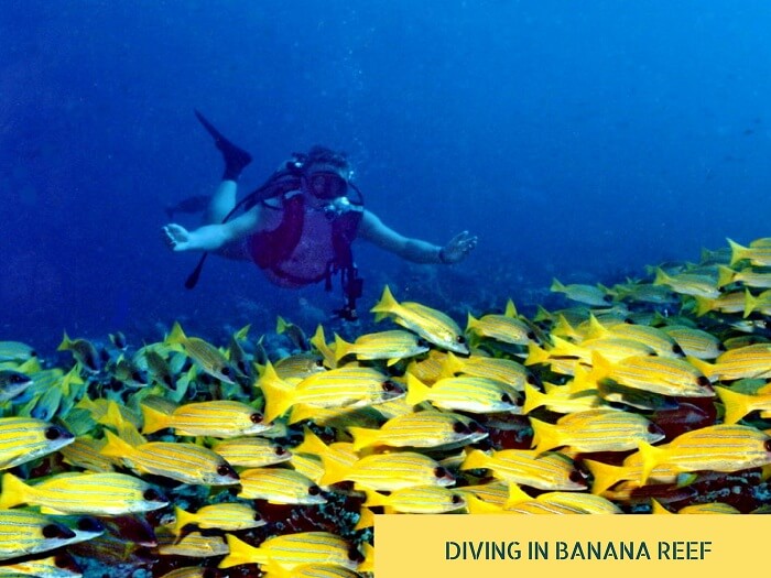 Maldives Vs Seychelles For Honeymoon