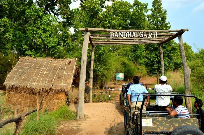Tourists ready to begin their jeep safari through the Bandhavgarh National Park