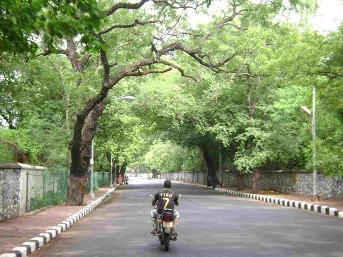 The ghost at Besant Avenue Road slaps and thwarts the one crossing by