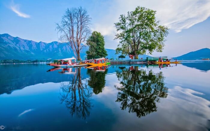 Dal Lake in Srinagar