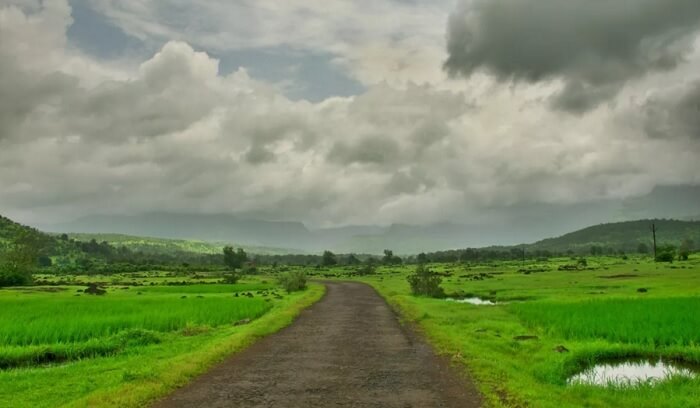 Lush green vegetation of Dehna turns into a fairyland with fireflies at night