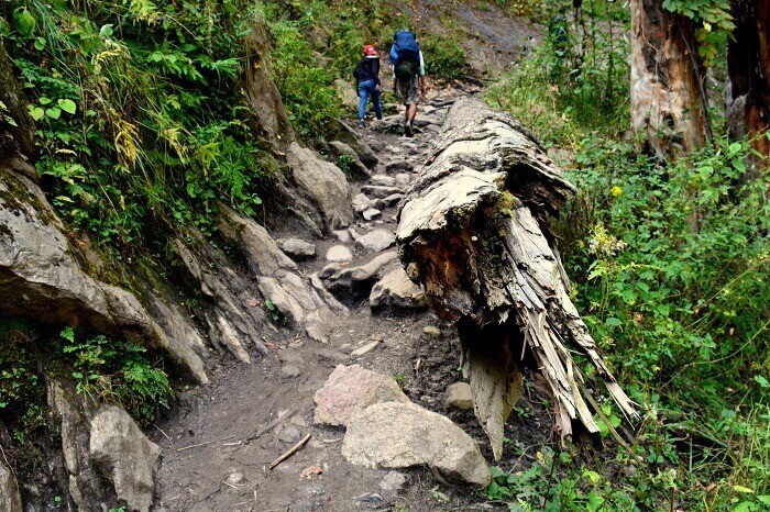 The Kheerganga trek path