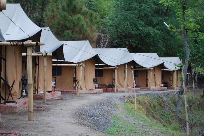 The camps in Mashobra Himachal Pradesh have redefined the concept of adventure campings