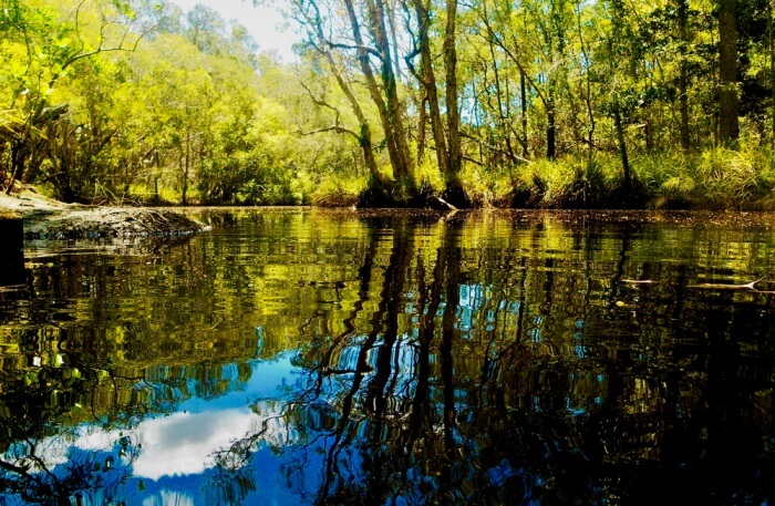 Noosa Everglades View