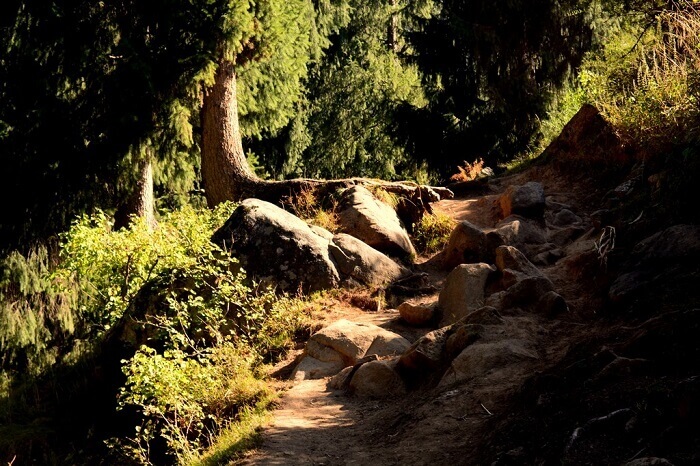 The rocky path on the Kheer Ganga trek