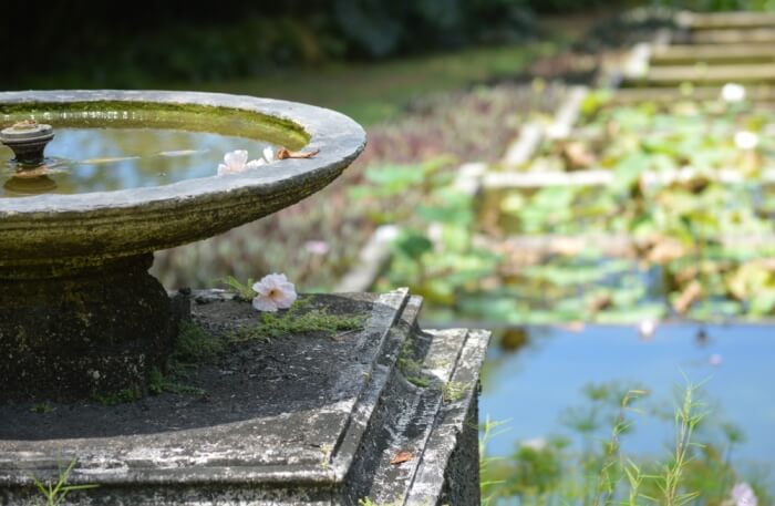 Brief Garden