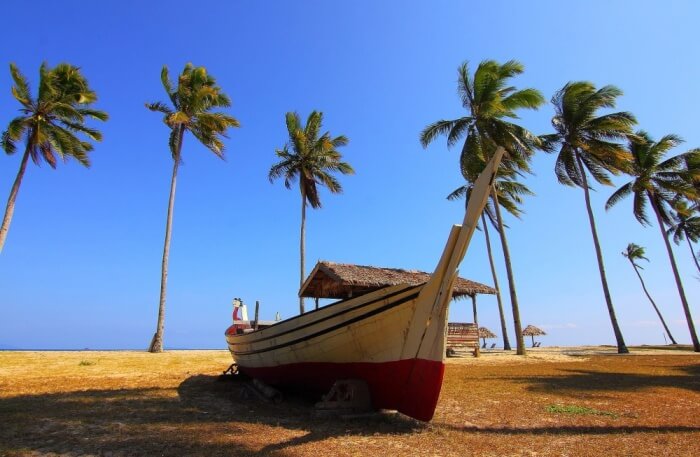 boat safari