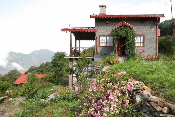 A cottage at Jungle Lore Birding Lodge at Pangot